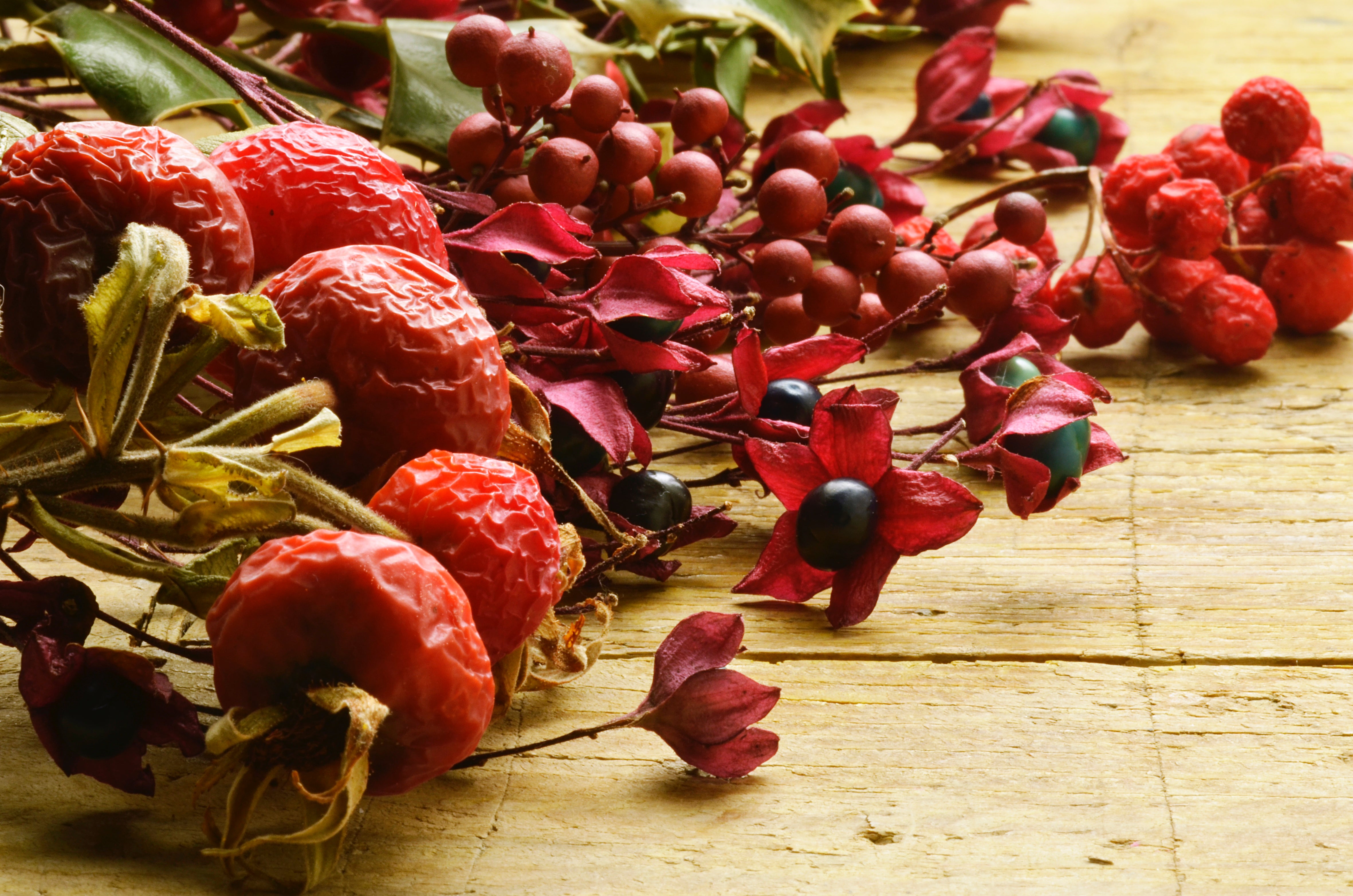 Ruscus Aculeatus Root Extract Explained, Skin Benefits, INCI- Procoal
