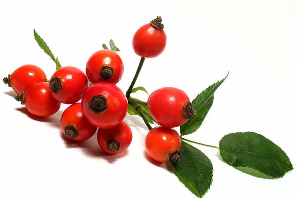 Rosa Rubiginosa Seed Oil (Also known as rosehip seed oil)