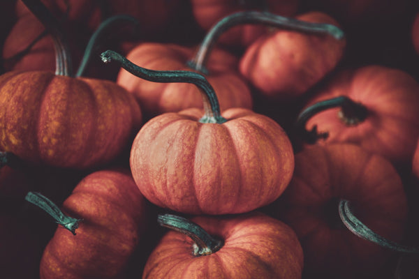 Skincare & Haircare Benefits of Pumpkin - Why Is Pumpkin Good for Skin & Hair?