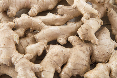 Zingiber Officinale Root Extract